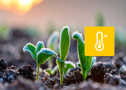 Le froid peut-il encore s'inviter sur la France malgré la semaine printanière de prévue ?