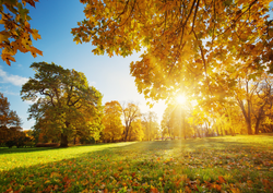 Les 30°C de nouveau prévus sur la France ! Découvrez à partir de quand et si cela s'annonce durable