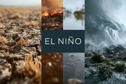 Advertencia de la OPS sobre cómo El Niño golpeará la salud pública en en el Continente Americano