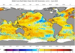¿Llega El Niño a Argentina? ¡Lo que realmente dice el SMN!
