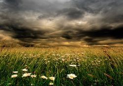 México inicia marzo con calor extremo, vientos y riesgo de incendios