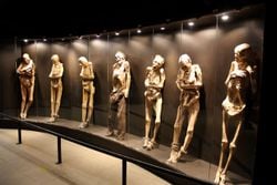 Los cuerpos de Guanajuato no fueron embalsamados: la ciencia confirma que la clave está en la tierra del panteón