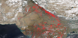 Los incendios asfixian más a la India con ola de calor en marcha