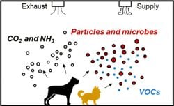 Los perros afectan a la calidad de nuestro aire interior alterando los gases, partículas y microbios que respiramos