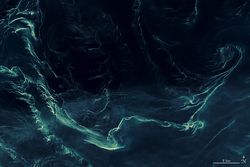 Mar de polen visible desde el espacio