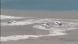Más de 100 mm de lluvia en pocas horas: dejo automoviles flotando y siendo arrastrados al océano en San José del Cabo