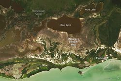Medición de metano en los Everglades: bosques fantasmas