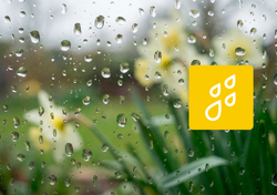 Pluie pour tout le monde cette semaine ?