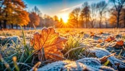 Météo en France : le mois de novembre s'annonce-t-il plus froid que octobre ? Le gel va-t-il s'observer