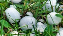 Alerte aux orages demain et aux vents violents !