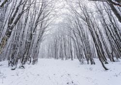 Irrompe la depressione fredda, neve fino in collina in queste regioni