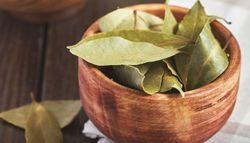 Coloca una hoja de laurel detrás de tu celular: para esto sirve, según el Feng Shui