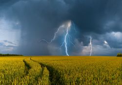 ¡México muy cerca de librar la Sequía! Grandes beneficios se mantienen y la temporada de lluvias ha comenzado