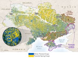Midiendo el efecto de la guerra de Ucrania en un granero global