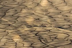 Países Bajos declara oficialmente escasez de agua en medio de una sequía persistente