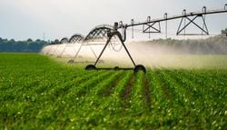Ni Brasil ni China: el único país del mundo 100 % autosuficiente en alimentos se encuentra en Sudamérica