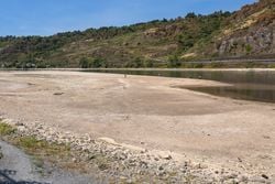 Niedrigwasser: Weiterhin große Trockenheit in Baden-Württemberg - "Die Hitze ist vorbei, die Dürre bleibt