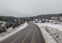 Nieve en la Sierra de Chihuahua: Guerrero y Bocoyna amanecen bajo un manto blanco este martes 10 de marzo