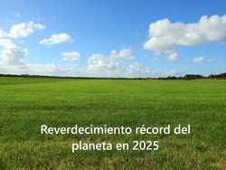 El nivel medio mundial de vegetación alcanzó un máximo histórico en el año 2025: la tendencia alcista persiste