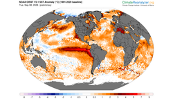 La NOAA eleva al 75 % la probabilidad de que un El Niño histórico supere todos los eventos registrados desde 1950