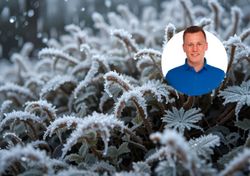 „Noch nicht vorbei!“ – Experte warnt vor nächster Frostnacht