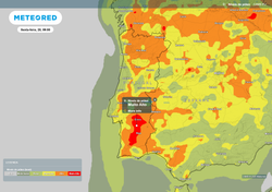 Próximos dias com previsão de altos níveis de pólen. Concentração de poeiras do Saara à vista!