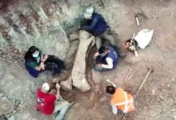 Nova espécie de dinossauro gigante no Brasil revela ligações entre continentes pré-históricos