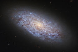 Una nueva hipótesis sugiere que la materia oscura está compuesta por diferentes tipos de partículas