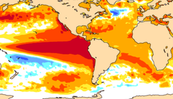 Nova previsão do ECMWF reforça: pico do El Niño será acima de 3°C