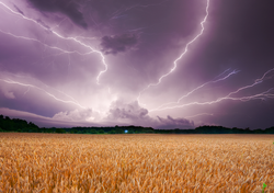 Las tendencias de lluvias y temperaturas según el mejor modelo