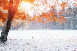 Was der Oktober alles kann: Vom Sommerwetter bis Schnee und Frost!