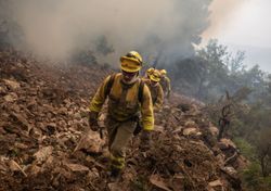 Ola de calor y graves incendios forestales en España