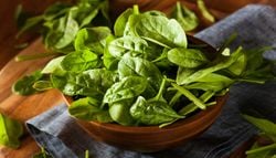 On peut encore semer des légumes dans le potager et repiquer des salades