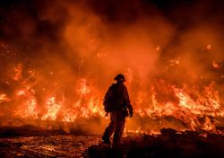 One third of Oscar-nominated movies mention climate change