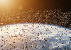 Unos astrónomos advierten: un fallo en el control orbital podría causar caos en el espacio en menos de tres días