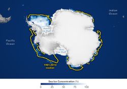 2023: Neues Rekordtief für das Meereis in der Antarktis!