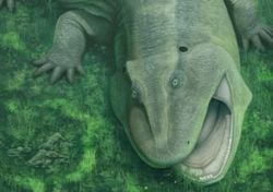 Palaeontology: This ancient animal had sideways-facing teeth and a twisted jaw