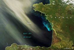 ¿Para qué pueden ser buenas las irrupciones de polvo del desierto?