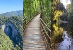 Parque turístico em SP é 200 vezes maior que o Ibirapuera e tem trilhas, cavernas e cachoeiras; conheça