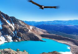 Patagonia registró el año más caluroso y seco en 60 años