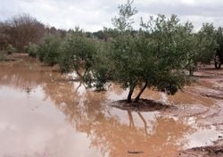 Piogge torrenziali in atto al Nord-Ovest, ma il maltempo colpirà queste regioni con rischio di alluvioni