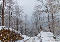Plötzlich Winter mitten im Oktober: Wettermodelle zeigen Schnee-Attacke – und sie kommt früher als gedacht