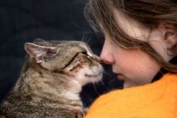 Poder felino: formas en que un gato mejora la salud mental y llena de paz tu vida