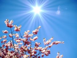 70 % Sommer-Wahrscheinlichkeit an Pfingsten – jetzt drohen sogar 30 Grad in Deutschland!
