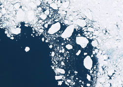 Por qué la Antártida se está "volviendo verde": las imágenes satelitales que sorprenden a los expertos