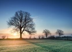 Primeira massa de ar frio mais intensa pode chegar ainda em abril