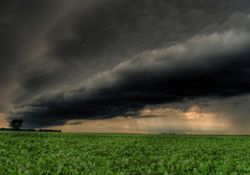 Pronóstico climático: trimestre con mayor probabilidad de lluvias intensas