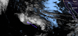Pronóstico especial de ciclón tropical en el Pacífico Nororiental