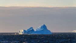 ¿Qué hay en esta isla que los científicos descubrieron recientemente por casualidad?