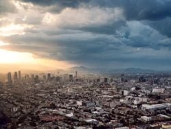 Qué hacer en CDMX este fin de semana del 20 al 22 de marzo: Festival de las Flores, Baile de Primavera y más